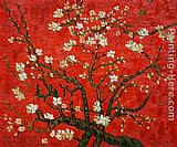 Vincent van Gogh Branches of an almond tree in Blossom in Red painting
